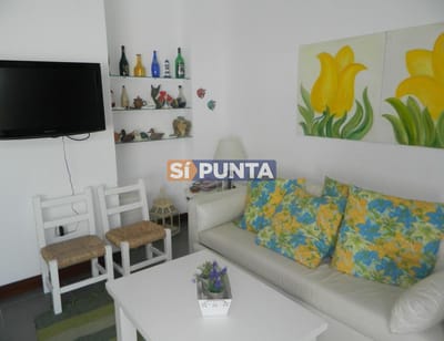 Apartamento en Manantiales, 2 dormitorios en alquiler