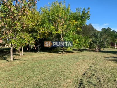 chacra en Pueblo Edem , olivos  tajamares, piscina