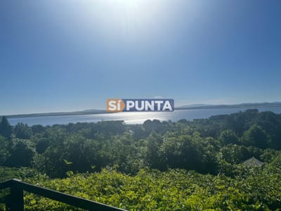 Vende casa de 4 dormitorios con vista a la laguna del sauce, Maldonado
