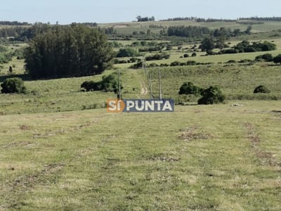 Hermosa chacra a 15 Kilómetros del Mar, Pan de Azúcar, Entre cerros.