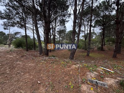 Terreno en venta, Laguna Escondida, José Ignacio