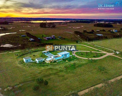 Espectacular Chacra minimalista Jose Ignacio