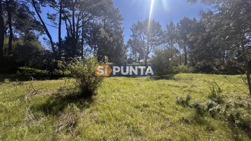 Lote Apto para PH en Pinares Punta del este