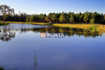 Lote en venta Veramansa
