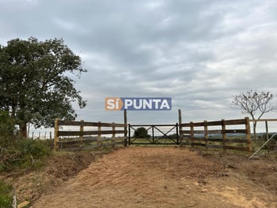 Chacra en venta