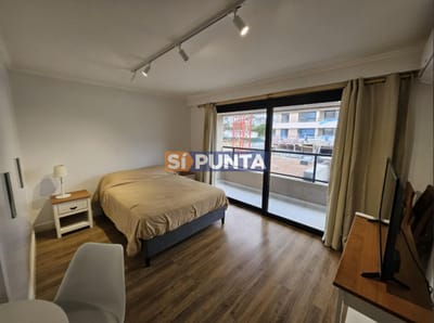 Monoambiente en alquiler anual Roosevelt