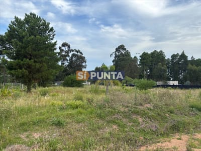 Lote de 1000m2 en Chacras del Pinar