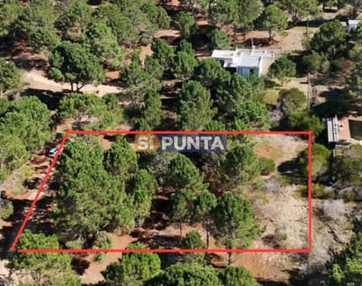 Terreno en venta Laguna Escondida, José Ignacio