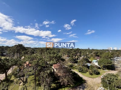 DIVINO IMPECABLE CON SERVICIOS