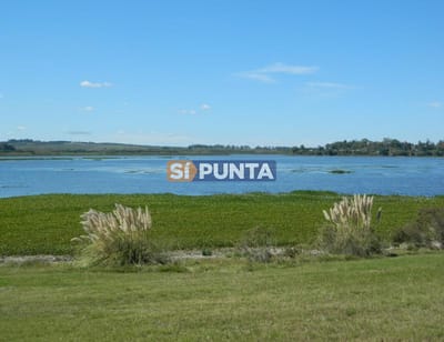 Lote en venta, Laguna de los Cisnes