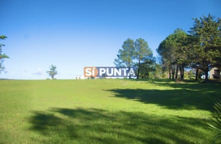Chacra importante en R. 39 con 700 m2. construidos