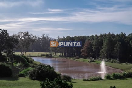 Lote en venta - Veramansa