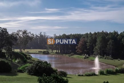 Lote en venta - Veramansa
