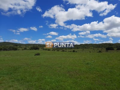 LINDA CHACRA DE 5 HAS EN LAS CAÑAS