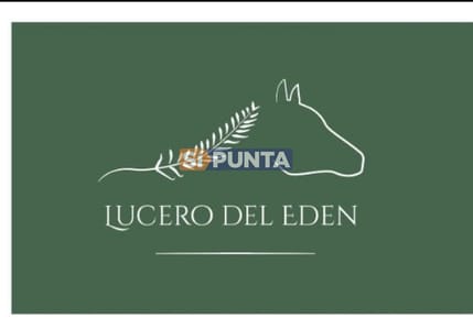 Chacra en Venta, Pueblo Edén