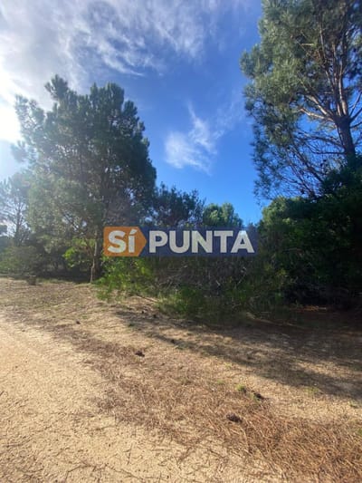 Lote en Barrio Privado Laguna Escondida - José Ignacio
