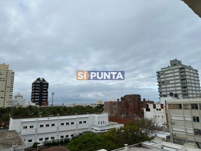 Peninsula  con servicio de mucamas