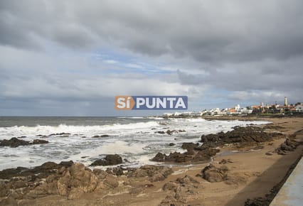Vende apartamento. Edificio Bonaire. 3 dormitorios con servicios. Brava, Peninsula, Punta del Este