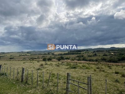 Campo en Venta, Garzón