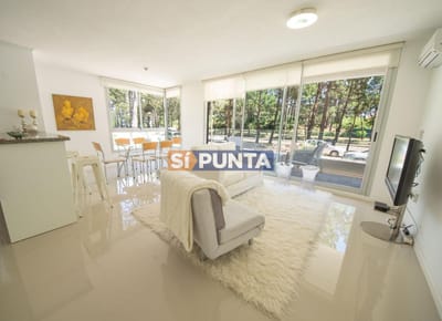 Apartamento de 2 dormitorios en alquiler temporada Roosevelt