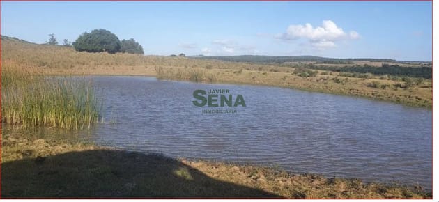 Venta de campo en Garzon, 38 hectareas con casa, buena agua y acceso.
