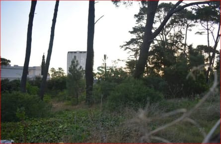 Venta de terreno en la Mansa, 1053m2 de tierra para construir un gran chalet.
