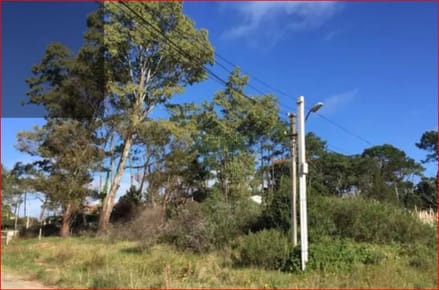 Venta de terreno en Jardines de Cordoba, 1172m2 de tierra para construir 2 casas.