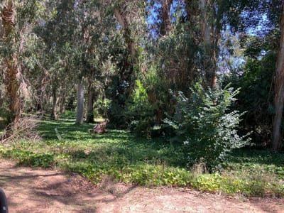 Venta De Terreno En Pedragosa Sierra, Excelente Ubicacion, Complejo Edilicio.