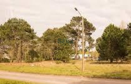 Venta De Terrenos En Beverly Hils, 1000m2 En Excelente Ubicacion.