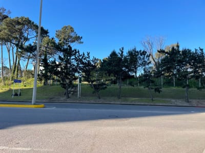 Roosevelt y Pda 5 para contruir en altura 18 pisos+ comercial.
