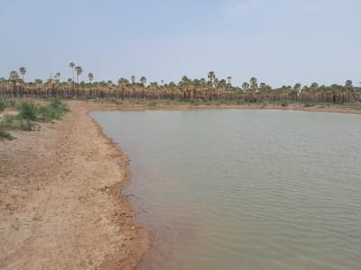 Campo Ganadero Premium de 6.709 Has en Fortín Caballero