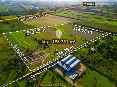 TERRENO RÚSTICO EN VENTA CARRETERA A WARNES KM 24