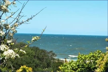 Loft Con Vista El Mar En Pta Colorada