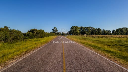 Oportunidad de inversión