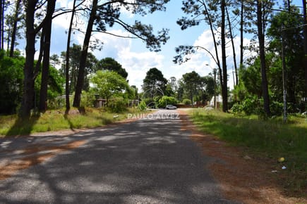 Barrio residencial y tranquilo