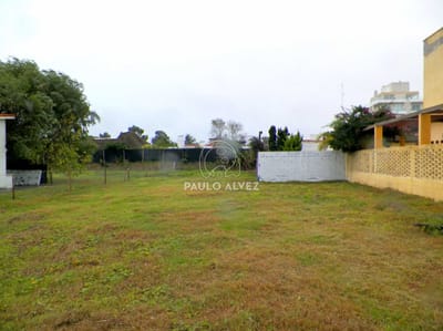 Escasos metros del mar