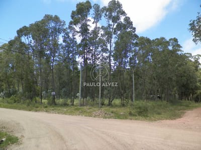 Cerca del mar en una zona privilegiada