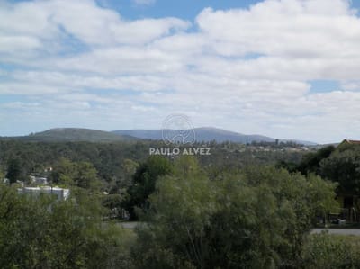 Vista al mar y a los cerros
