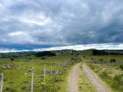 Ideal campo, departamento Lavalleja, inversionista