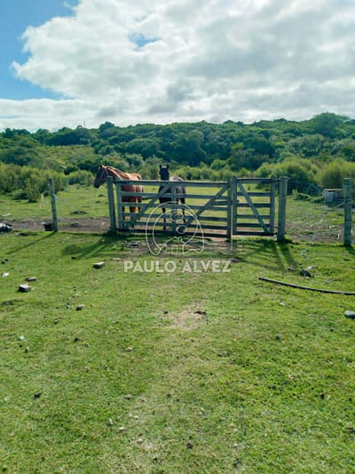 Ch242-Chacra a la venta en Pan de Azucar, vista a las cerros. Un lugar ideal para vivir todo el año.