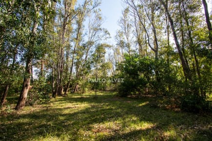 Te1386- Lote ubicado a 200 metros del mar, entorno tranquilo y agradable, ideal para comenzar tu próximo proyecto de vida