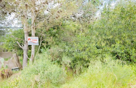 Te1592- Terreno ideal para aquellos amantes de la naturaleza y de la tranquilidad