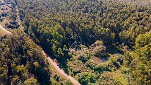 Chacra en Pueblo Edén