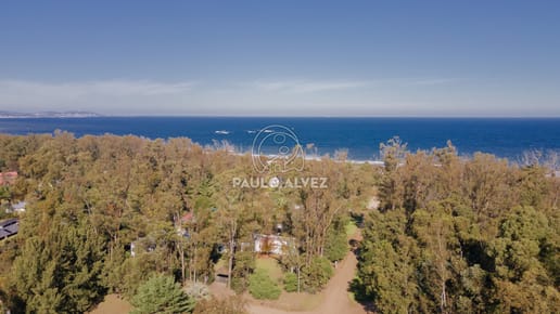 Te1635- Alto, a 250 metros del mar, nivelado..