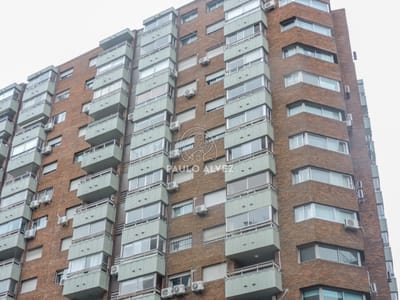 Zona Centro