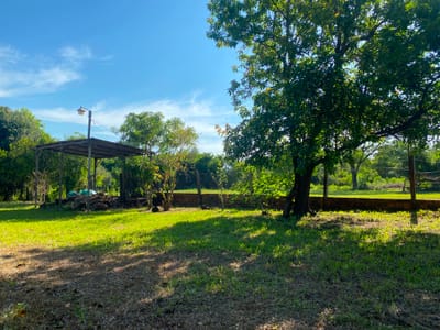 Terreno En Venta