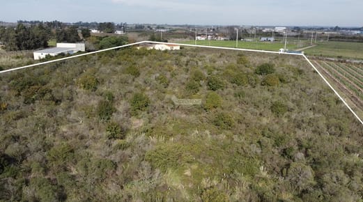 VENTA TERRENO MELILLA CAMINO FAUQUET Y RUTA 5 (37001m con CASA+APTO+GALPON)