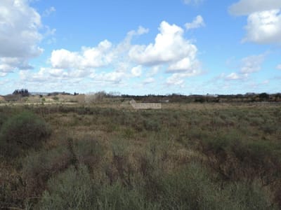 TERRENO VENTA COLON 170000m2 PARA LOGISTICA! 5 CUADRAS R102 Y A 3 DE ZAL (SE PUEDE FRACCIONAR)