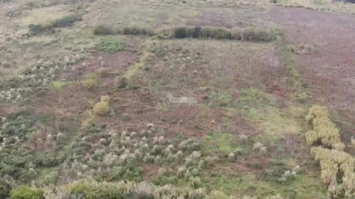VENTA TERRENO MANGA CAMINO CRUZ DEL SUR y RUTA 102 47276m