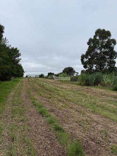 VENTA TERRENO MELILLA CAMINO DE LOS ORIENTALES Y LUIS BATLLE BERRES 132.125m2 PROXIMO UAM